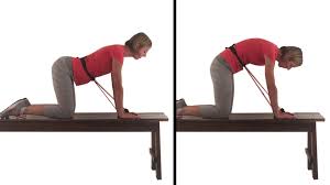 The cat and camel back stretch is a gentle exercise that stretches and strengthens the muscles that stabilize the spine, including. Cat Camel Mobilization Invertabelt