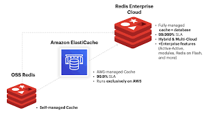 Audits, trainings and membership activity. Fully Managed Redis Enterprise Cloud On Aws Redis