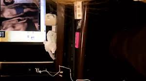 Blowjob gadis Jepang di warnet