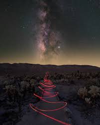 During 1994 when the california desert protection cholla catcus garden is a quarter mile loop trail found in the park twenty miles from the cottonwood visitor center to the north. Milky Way In The Cholla Cactus Garden Of Joshua Tree Fm Forums