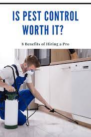 Using the best pest control service can help you save a huge amount of money. Is Pest Control Worth It The Top 8 Benefits Of Hiring A Pro Mommy S Memorandum