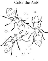 Thecolor has the world's largest collection of free online coloring pages for kids. Coloring Pages Printable Ant Ant Coloring Pages Sheets Leif Anayelizavalacitycouncil Com