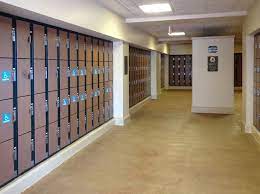 The Low Down On Locker Rentals At Walt Disney World Disney World Walt Disney World Disney World Theme Parks