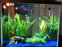 Blue Gravel Aquarium Tank Aquarium Gravel Aquarium Fish Tank