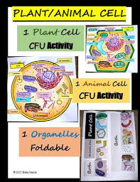 Maybe you would like to learn more about one of these? Mrs G S Classroom Posts Facebook