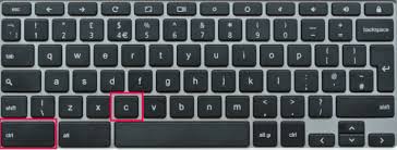 We did not find results for: How To Copy And Paste On Chromebook