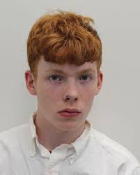 Climate change protest sees pensioner glue herself to Brazilian embassy