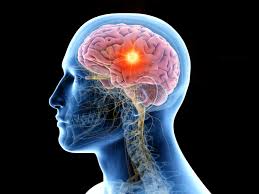These 5 Things Happen To Your Brain When You Quit Drinking