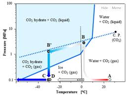 Labeled Phase Diagram Of Carbon Dioxide Get Rid Of Wiring