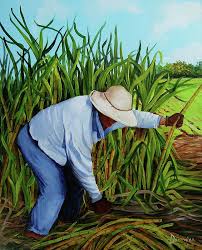 Dominica Alcantara Caribbean Art Cuban Art Mexico Art