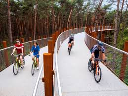 Track cycling events, rankings, tips and advice, results, news and event entry in britain. Raised Circular Cycling Path Gives 360 Degree Views Of Belgian Forest