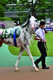 動物 馬 競走馬 かわいい 全身 キャラクター 反応 ポーズ 表情 イラストのイラスト素材(no.53246525)。写真素材・イラスト販売のpixta(ピクスタ)では6,300万点以上の高品質・低価格のロイヤリティフリー画像素材が550円から購入可能です。毎週更新の無料素材も配布しています。 ç«¶èµ°é¦¬ç•Œã‚¢ã‚¤ãƒ‰ãƒ«ãƒ–ãƒã‚³ ã‹ã‚ã„ãè¦‹ãˆã‚‹ãƒªãƒœãƒ³ã‚'èª¿æ•™å¸«é¸æŠž Newsãƒã‚¹ãƒˆã‚»ãƒ–ãƒ³