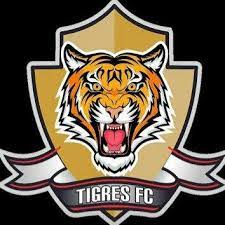 Team profile page of tigres fc with squad, recent matches, team details and more. Tigres Fc Guaiba Home Facebook