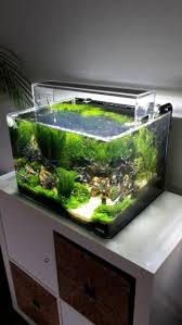 Ada Aquasky 451 Photos And Scape By Francesco Librandi Aquascape Aquarium Aquarium Fish Tank Aquarium Landscape