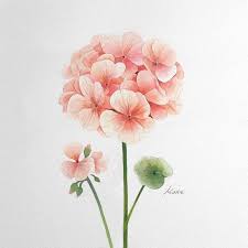 Affordable and search from millions of royalty free images, photos and vectors. 1001 Ideas And Tutorials For Easy Flowers To Draw Pictures