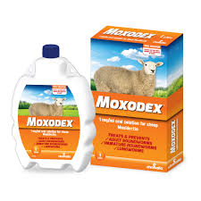 Image result for Moxidectin