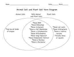 Cell wall and chloroplast in plant cell. Common Assessment 2 Review Lessons Blendspace