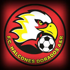 Como delantero central de los halcones dorados es un goleador implacable: Halcones Dorados A R Photos Facebook