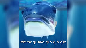 Mamaguevo, Digo Glo Glo Glo  Mama Huevo | Know Your Meme