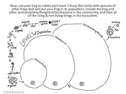 Introduce Ecology With The Levels Of Organization From Atom To Universe Biology Lessons Ecosystems Life Science Activities