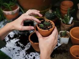 I tried writing, but it …. This List Of 50 Low Cost Hobbies Will Excite You