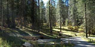 Silver creek state forest campground in luther michigan offers 26 sites for tent and small trailer use located on the scenic pine river. Seven Of Our Favorite National Forest Campgrounds In New Mexico National Forest Foundation