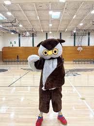 Hoos This Owl? – The Headlight