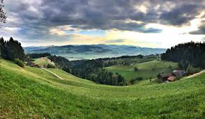 Auf dieser seite können sie webseiten finden, emmental betreffen. Waldhusli Trub Das Tiny House Im Emmental