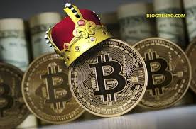 Giá token internet computer (icp) tin tức bitcoin (btc) 11/05/2021. Gia Bitcoin Hom Nay 23 10 Bitcoin á»•n Ä'á»‹nh HÆ¡n Cá»• Phiáº¿u Amazon Netflix Blockchain Ä'inh Hon Netflix
