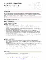 It Resume Samples Examples And Tips