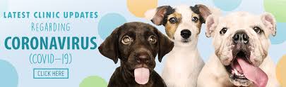 Plus extensive free on site car parking too! Karingal Vet Hospital Serving The People Of Frankston And The Mornington Peninsula Area