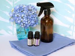 Diy Disinfecting Spray Diy Network Blog Made Remade Diy