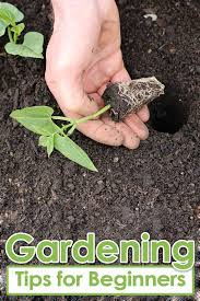 I don't know about you, but here on youtube there are some weird channels that have all sorts of garden tips that are either inconvenient, dumb, or flat ou. Gardening Tips For Beginners