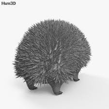 Hedgehog Hd Hedgehog Hd Hedgehog Graphic Design Projects 3d Model