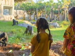 Is the jacksonville zoo open on thanksgiving. Jacksonville Zoo Tickets Prices Discount Animals To See Train Ride
