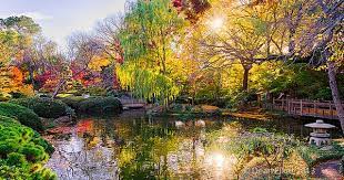 Fall Foliage In Texas Front Lawn Landscape Fall Foliage Best Backyards
