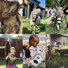 We've found the top mobile petting zoo entertainment professionals near you. Top Petting Zoos Near Me Updated July 2021 Gigsalad