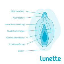 Eine solche wird begleitet von einem dicken, weißen ausfluss. 9 Dinge Die Du Nicht Uber Deine Vulva Und Vagina Gewusst Hast Lunette Menstruationskappe