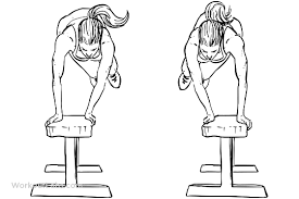 Barbell Hip Thrusts Bench Workout Box Jumps Jump Workout