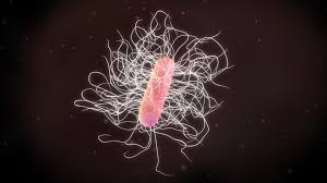 Maybe you would like to learn more about one of these? C Difficile C Diff An Urgent Threat Harvard Health