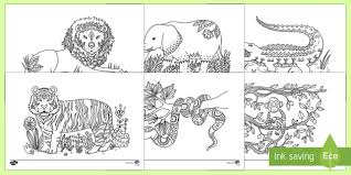 Learn about other places in the world and bring the jungle to life with color! Jungle Animals Mindfulness Colouring Pages Ks1 Resources