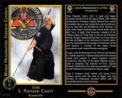 Pin By Julio Ramos Jr On New York Martial Arts Martial Arts Martial Jiu Jitsu