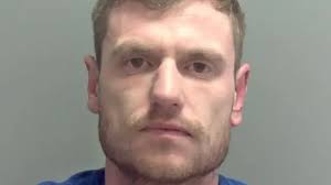 Suffolk Police van joyrider Sean Warman jailed