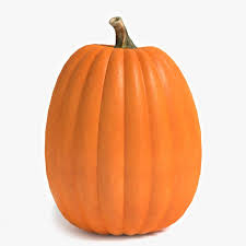 3d Model Pumpkin Pumpkin 3d Model Model
