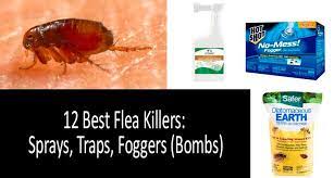 How To Kill Fleas Quickly Top 12 Best Flea Sprays Traps And Foggers Bombs