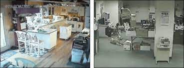 See earthquakes pound san francisco and pulverize taiwan. Los Animales Sienten El Terremoto Antes De Que Esto Suceda Instinto