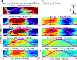 Superficial Slow Rhythms Integrate Cortical Processing in Humans