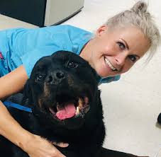 As the owner of academy animal hospital, she's established a team and culture within the practice that promotes and provides compassionate care for every pet that comes through the door. Photo Gallery Academy Animal Hospital