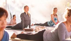 The primary series of ashtanga means yoga therapy when performed heals all sickness and purifies the body, preparing it for deeper yogic practice. Yoga Teacher Training In India Sampoorna Yoga School Goa