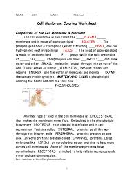 First, students use colored pencils to shade in a cell diagram. Cell Membrane Coloring Worksheet With Answers Phospholipid Cell Membrane